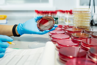 Microbiología