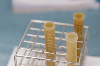 Parasitología